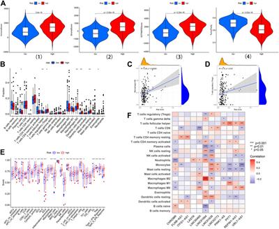 Frontiers A Necroptosis Related Lncrna Based Signature To Predict